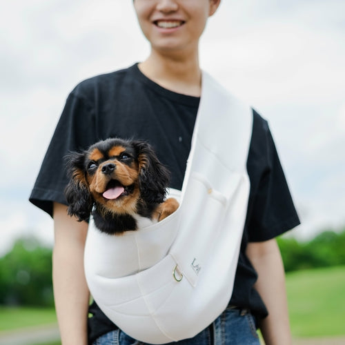 Neoprene Pet Sling Carrier with Pocket & Bag Holder