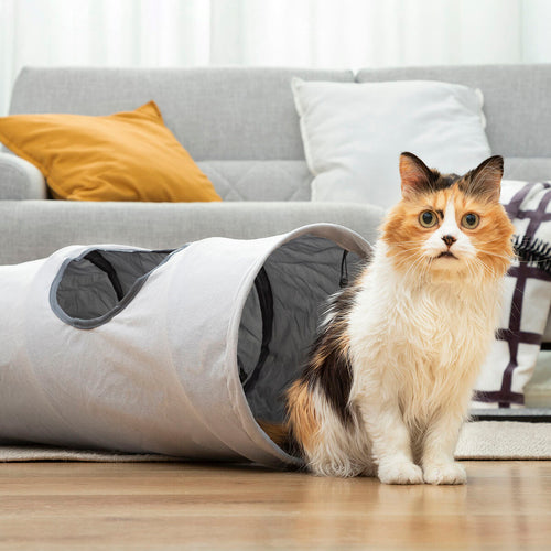 Collapsible Play Tunnel for Cats & Small Pets