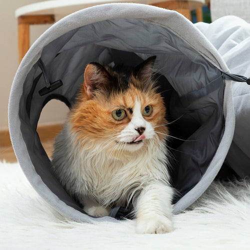 Collapsible Play Tunnel for Cats & Small Pets
