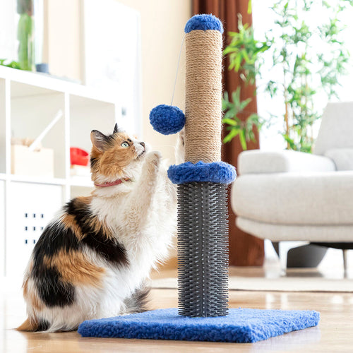 Title "Cat Scratching Post with Massage Base & Hanging Ball