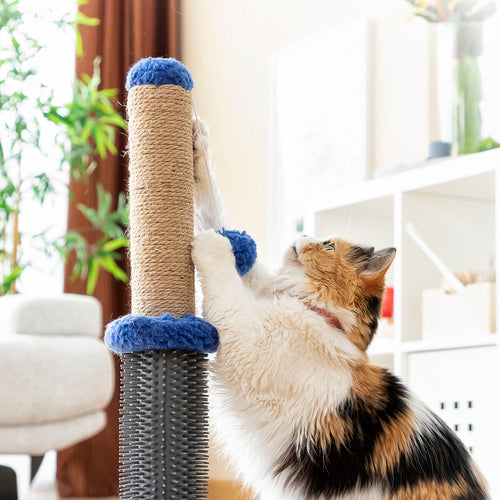 Title "Cat Scratching Post with Massage Base & Hanging Ball