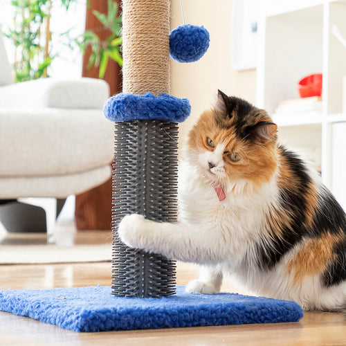 Title "Cat Scratching Post with Massage Base & Hanging Ball