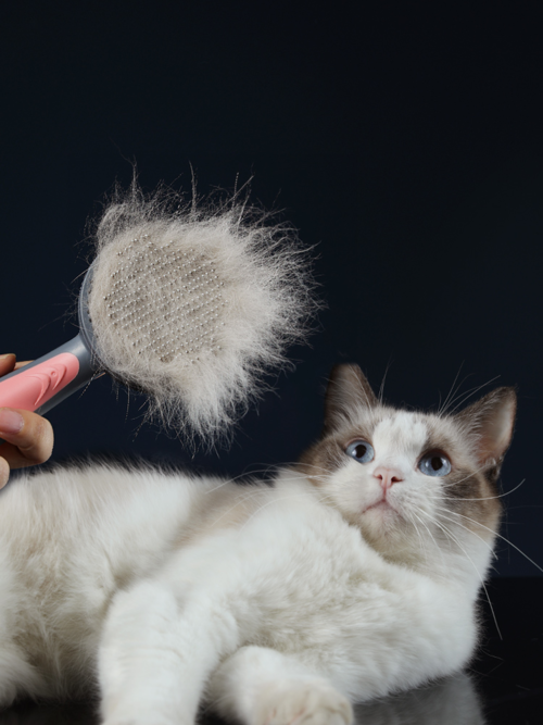 Grooming Brush for Cats & Dogs