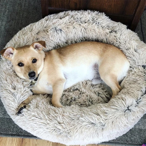 Calming Donut Bed – Ultra Soft Plush Pet Bed
